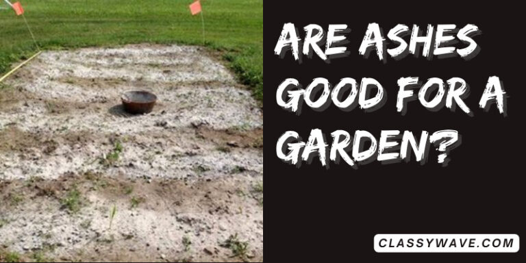 Are ashes good for a garden? The Truth