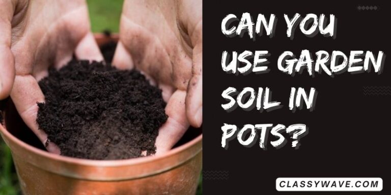 Can you use garden soil in pots? Tips for Container Gardening