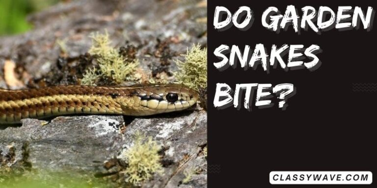 do garden snakes bite? Complete Guide