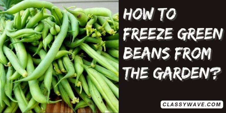 How to freeze green beans from the garden? Complete Guide