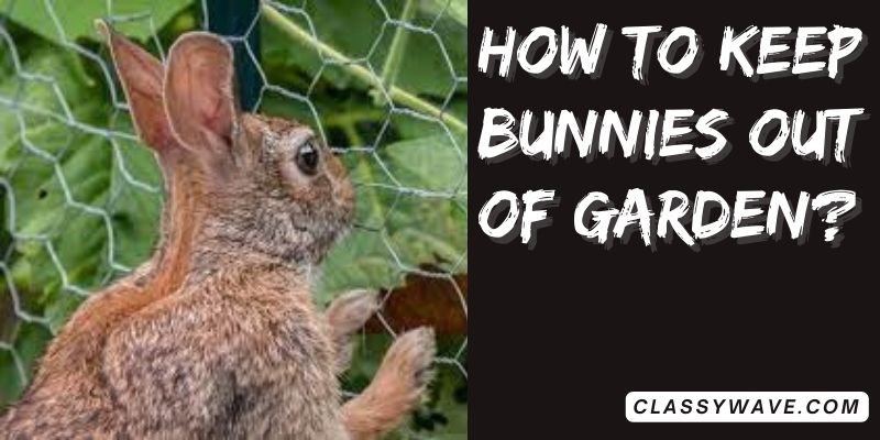 how-to-keep-bunnies-out-of-garden