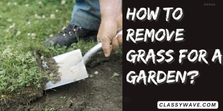 How to remove grass from a garden? Effective Techniques