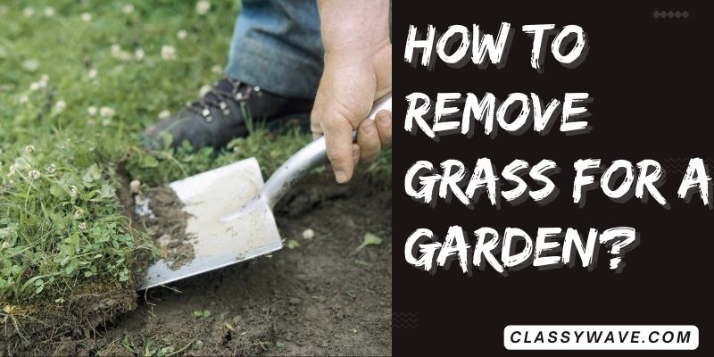 how-to-remove-grass-for-a-garden