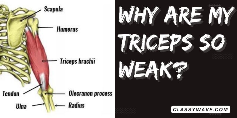 why-are-my-triceps-so-weak