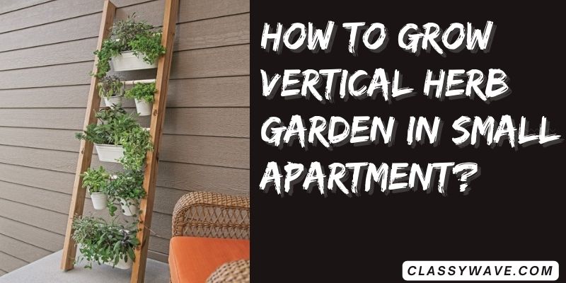 How-to-grow-vertical-herb-garden-in-small-apartment