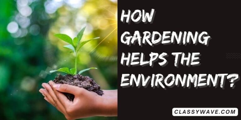 how gardening helps the environment? Sustainable Future