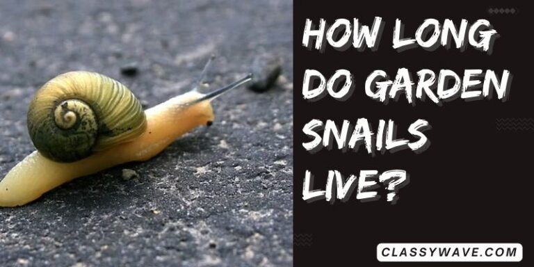 how long do garden snails live? Understanding the Lifespan