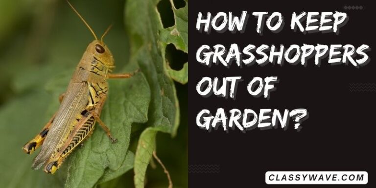 how to keep grasshoppers out of the garden? Effective Ways