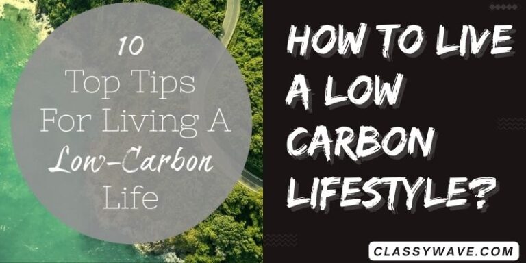 how to live a low-carbon lifestyle? Eco-friendly lifestyle