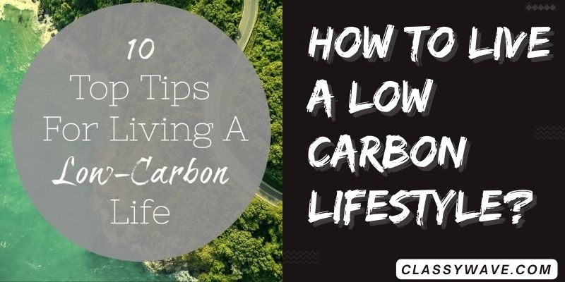 how-to-live-a-low-carbon-lifestyle