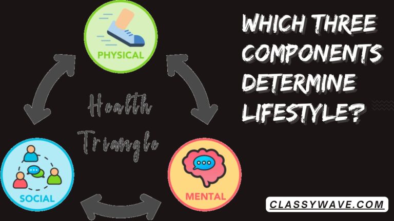 which three components determine lifestyle? truth