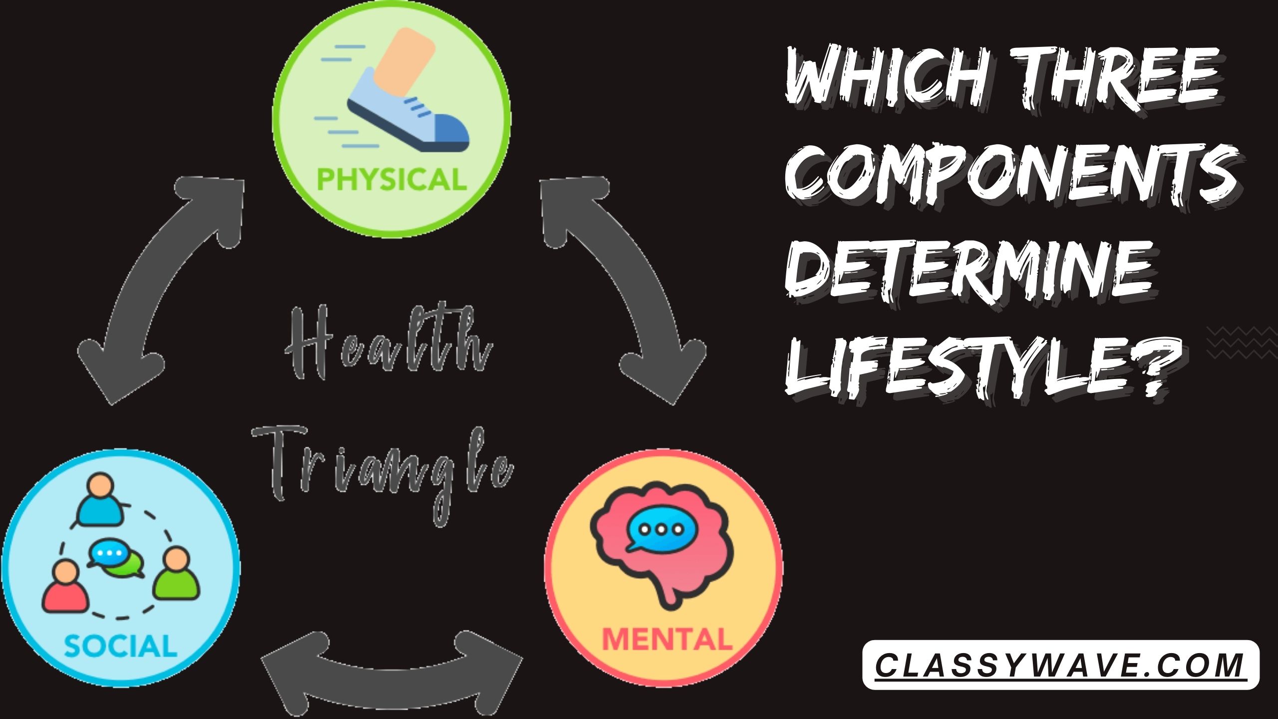 which three components determine lifestyle