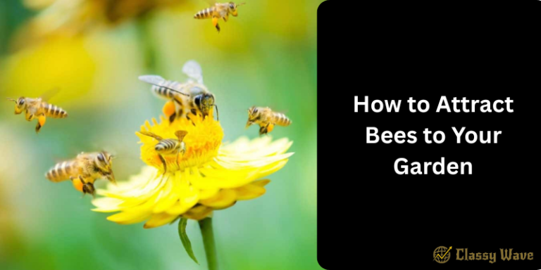 How to Attract Bees to Your Garden | Classy Wave