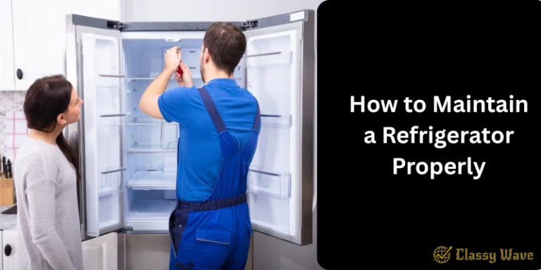 How to Maintain a Refrigerator Properly | Classy Wave