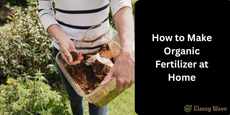 How to Make Organic Fertilizer at Home | Classy Wave