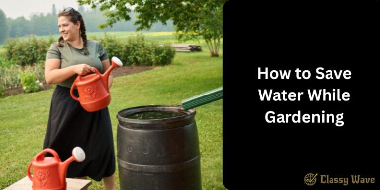 How to Save Water While Gardening |  Classy Wave
