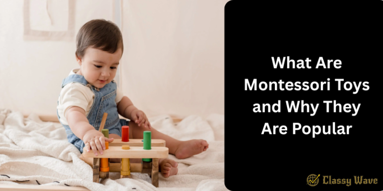 What Are Montessori Toys and Why They Are Popular | Classy Wave