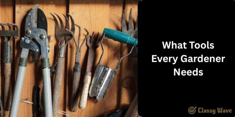 What Tools Every Gardener Needs | Classy Wave