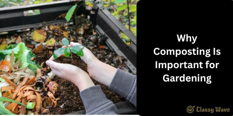 Why Composting Is Important for Gardening | Classy Wave