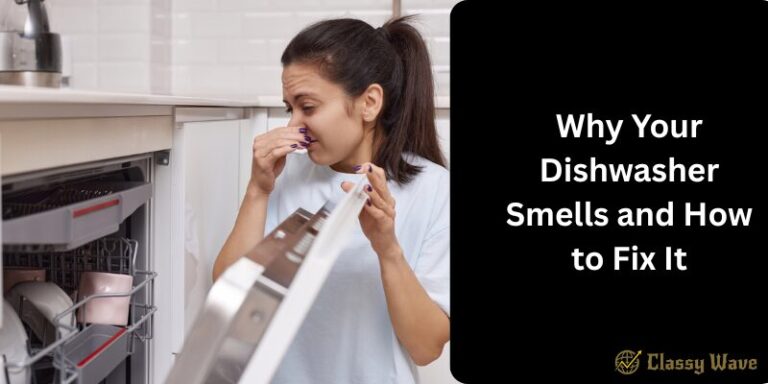 Why your dishwasher smells and how to fix it | Classy Wave